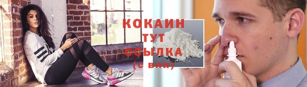 соль ск Алексин