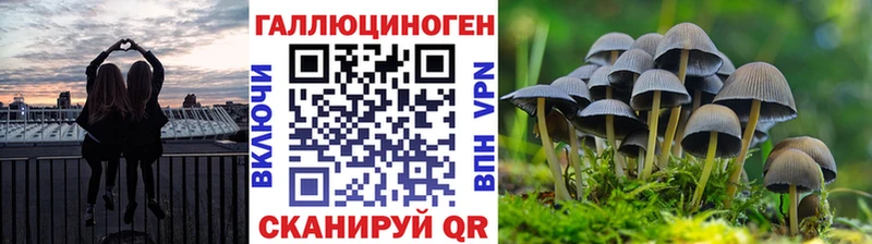 Купить где  Галич  Галлюциногенные грибы MAGIC MUSHROOMS 
