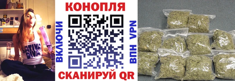 Купить закладки Галич Канабис OG Kush